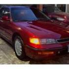 Honda Accord Para Entendidos 1996