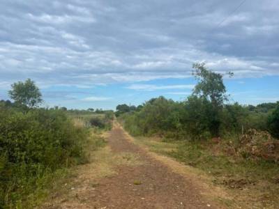 Venta Una Hectarea N. Parma Posadas Misiones